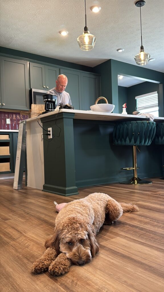Moody green cabinetry paired with burgundy tile backsplash and warm wood floors